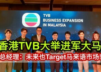 TVB