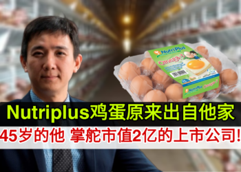 Nutriplus鸡蛋